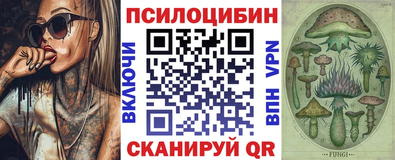 закладка Кашира Галлюциногенные грибы MAGIC MUSHROOMS